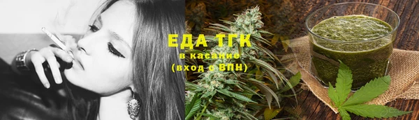 шишки Абаза