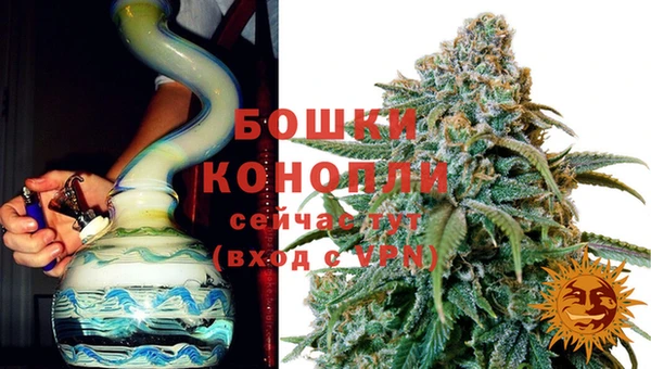 сатива Абдулино