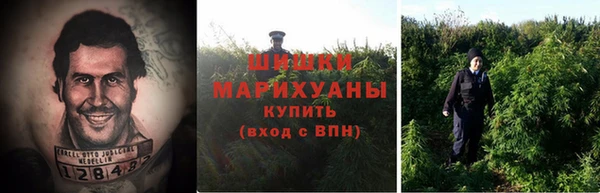 амф Абинск
