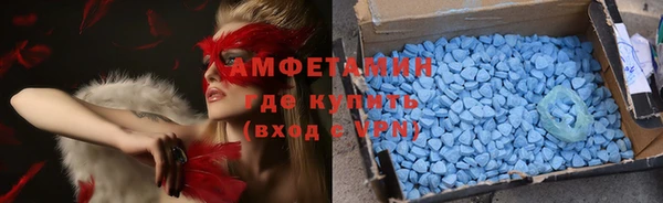 шишки Абаза