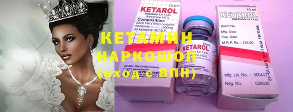 шишки Абаза
