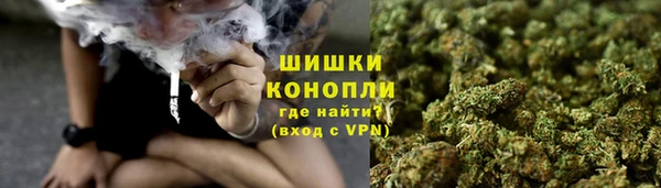 шишки Абаза