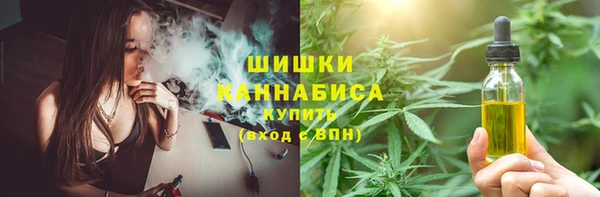 амф Абинск