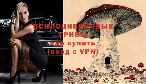 шишки Абаза