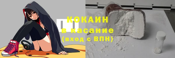 шишки Абаза