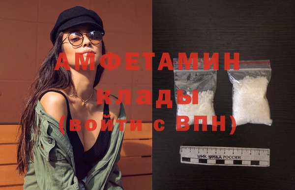 шишки Абаза