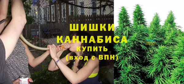 шишки Абаза
