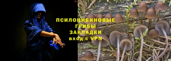 амф Абинск