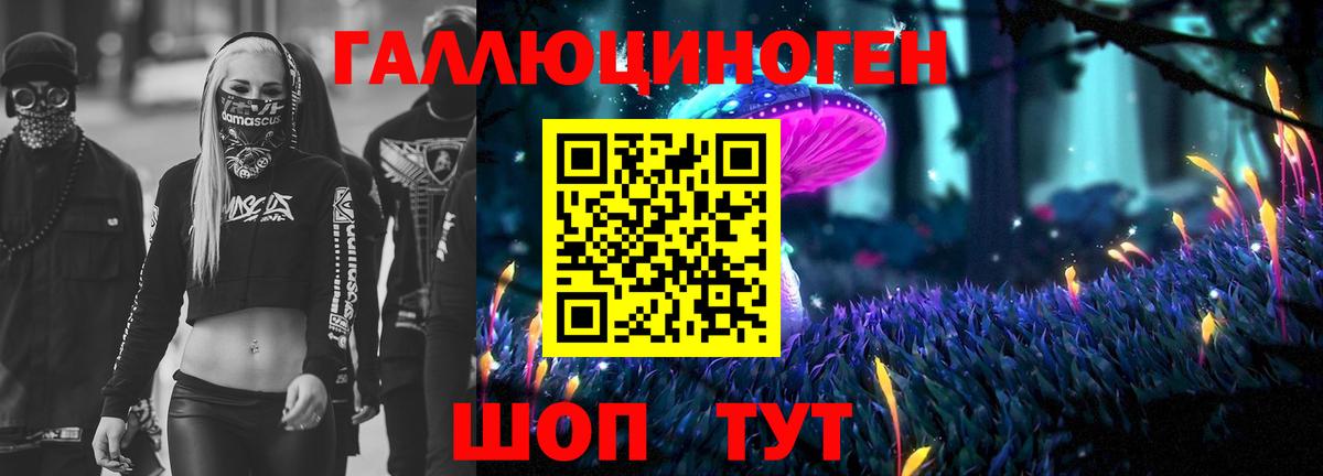 Ивантеевка  Псилоцибиновые грибы прущие грибы  Вход с VPN  Галлюциногенные грибы ЛСД 