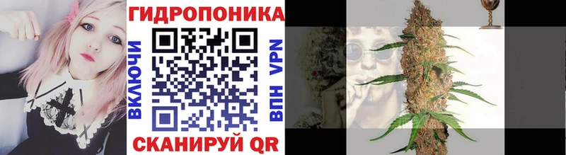 Бошки Шишки планчик  что такое   Ивантеевка 